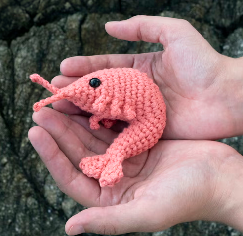 shrimp crochet pattern free,shrimp crochet pattern free pdf,simple shrimp crochet pattern free,emotional support shrimp crochet pattern,cooked shrimp crochet pattern,emotional support shrimp crochet pattern free,no sew shrimp crochet pattern,crochet shrimp with sweater,shrimp crochet pattern pdf,simple shrimp crochet pattern,easy shrimp crochet pattern